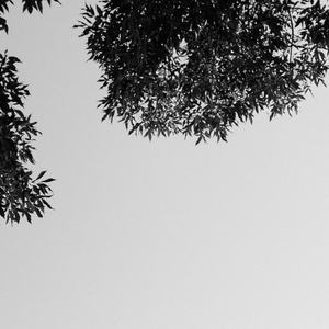 校花被两根粗黑来回进出视频
